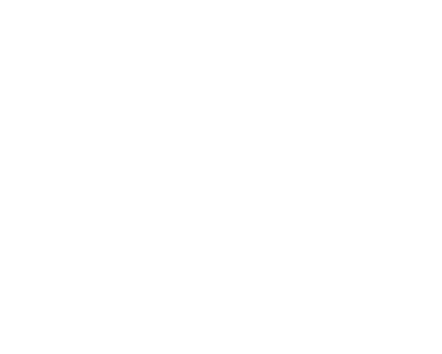 Eddy Customs